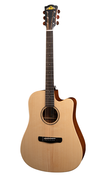 Acoustic Guitars