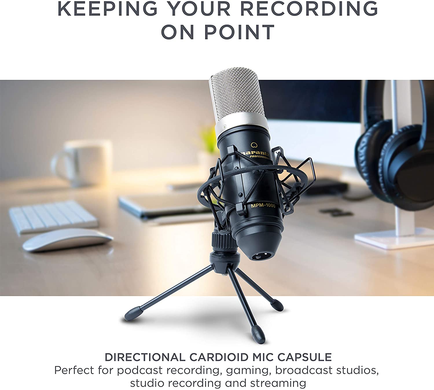 Marantz MPM-1000 Large Diaphragm Condenser Microphone