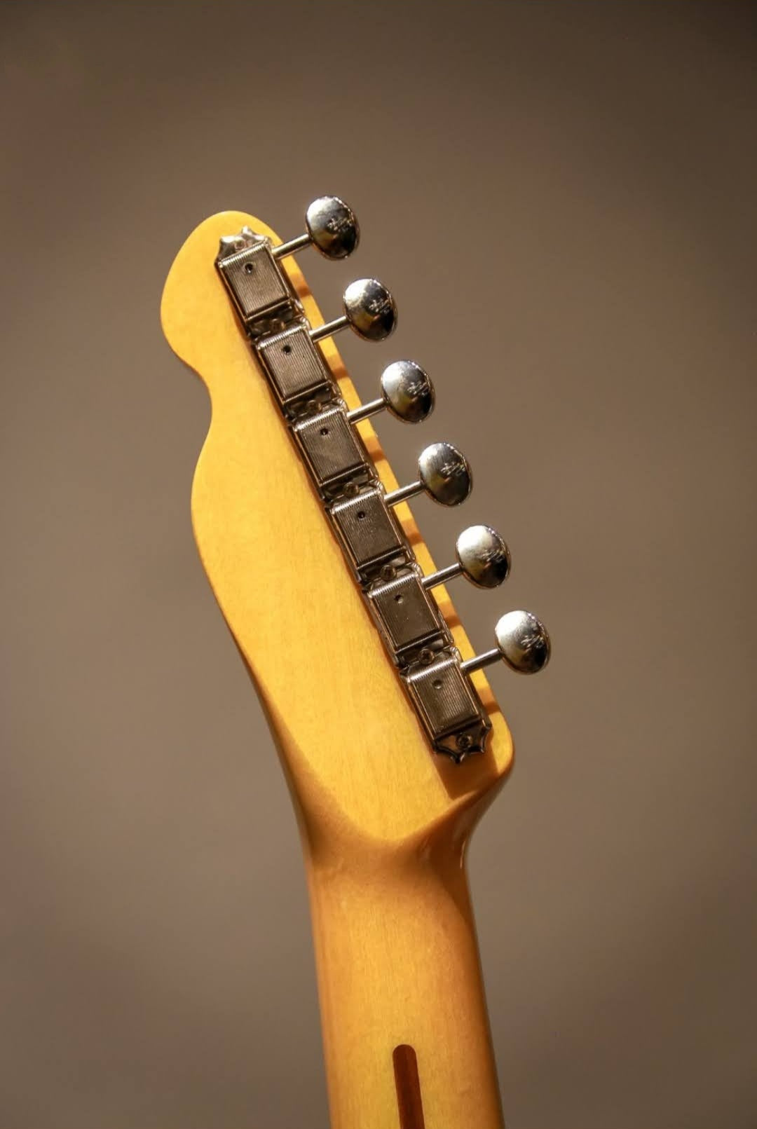 Tokai ATE162MV VNT "Breezy Sound", Electric Guitar AV Maverick Vibrato. Vintage Natural (VNT)