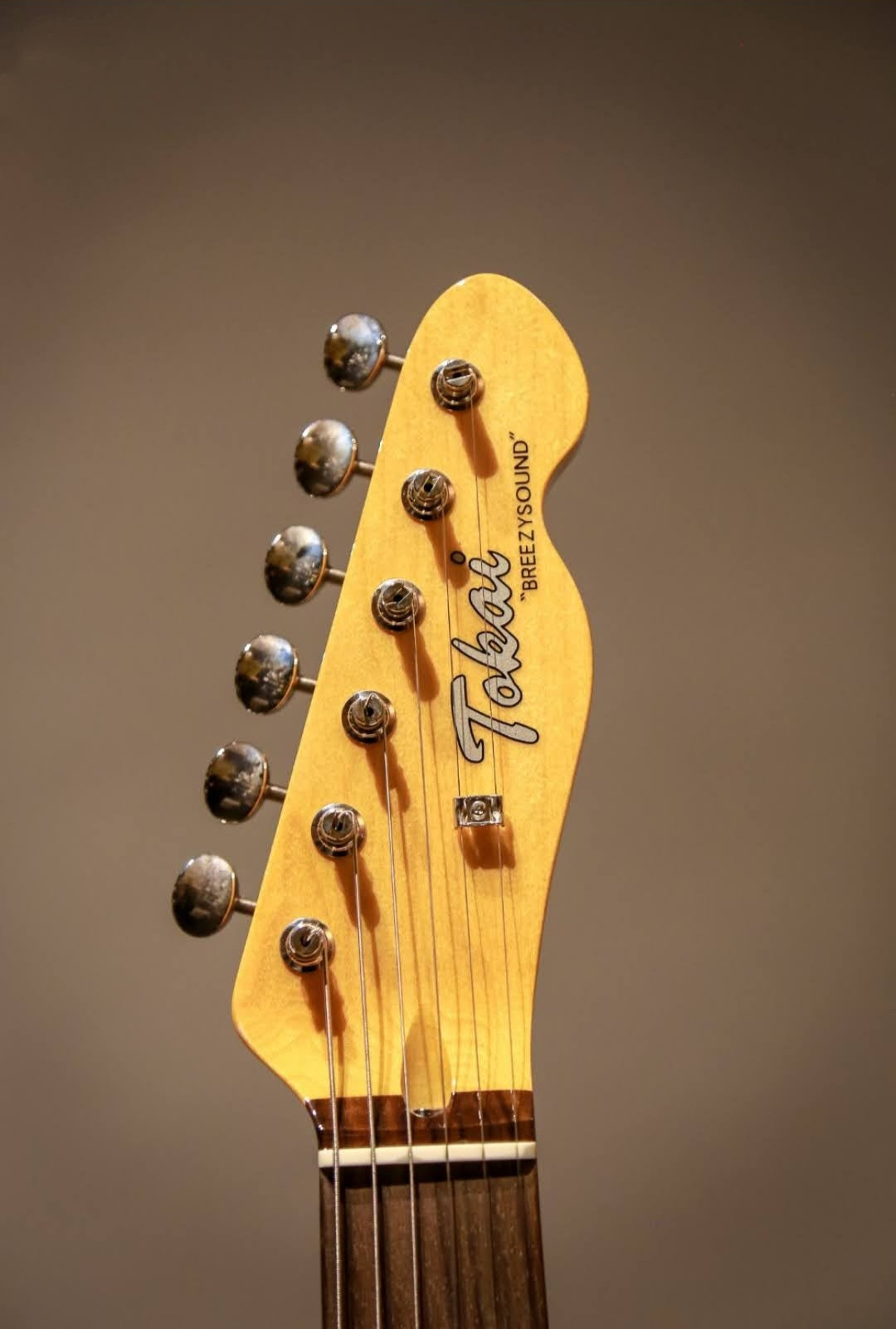 Tokai ATE162MV VNT "Breezy Sound", Electric Guitar AV Maverick Vibrato. Vintage Natural (VNT)