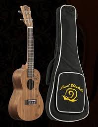 Ukuleles > Amahi > Walnut