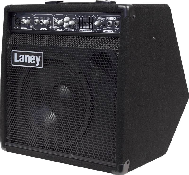 Laney UK AH80  Audio Hub can accommodate any instrument
