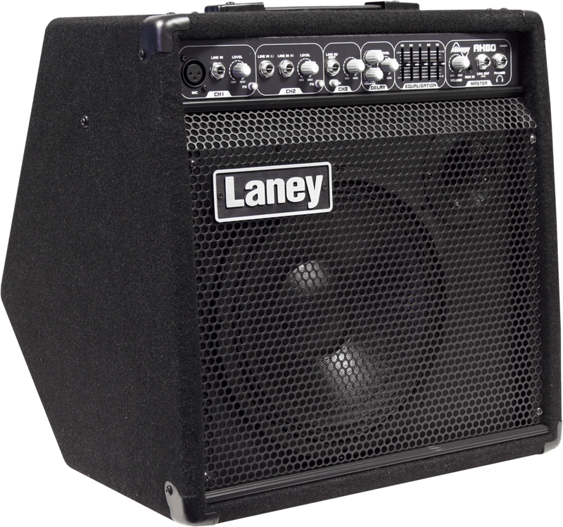 Laney UK AH80  Audio Hub can accommodate any instrument