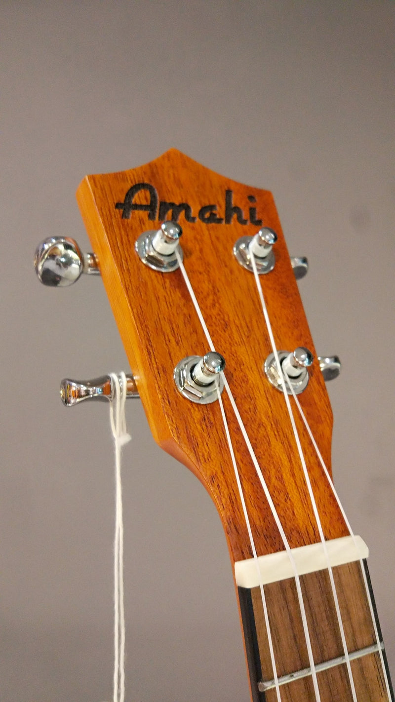 Amahi  UKC-3DA4 Masterpiece Series, Van Gogh Starry Night Mahogany Ukulele  - Concert, w/gig bag