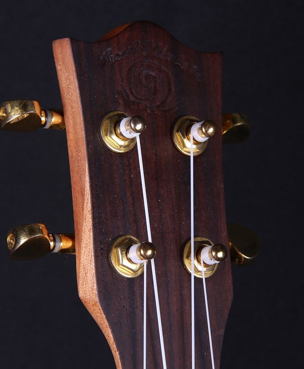 Amahi  SNAILROUKC  Snail Series, Bocote Ukulele  - Concert with Gig Bag