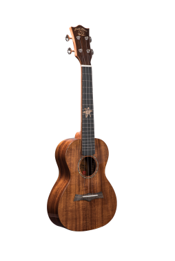 Amahi SNAILKOAUK Snail Series, Flamed KOA Ukulele  - Concert with Gig Bag